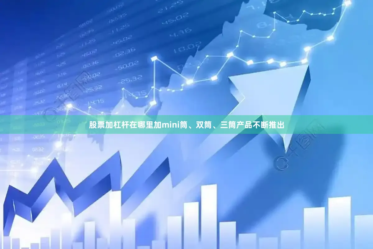 股票加杠杆在哪里加mini筒、双筒、三筒产品不断推出